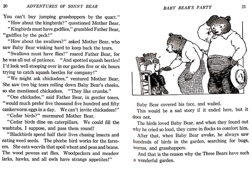 11_Adventures_of_Sonny_Bear