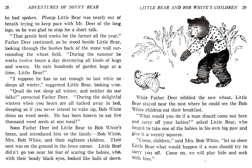 15_Adventures_of_Sonny_Bear