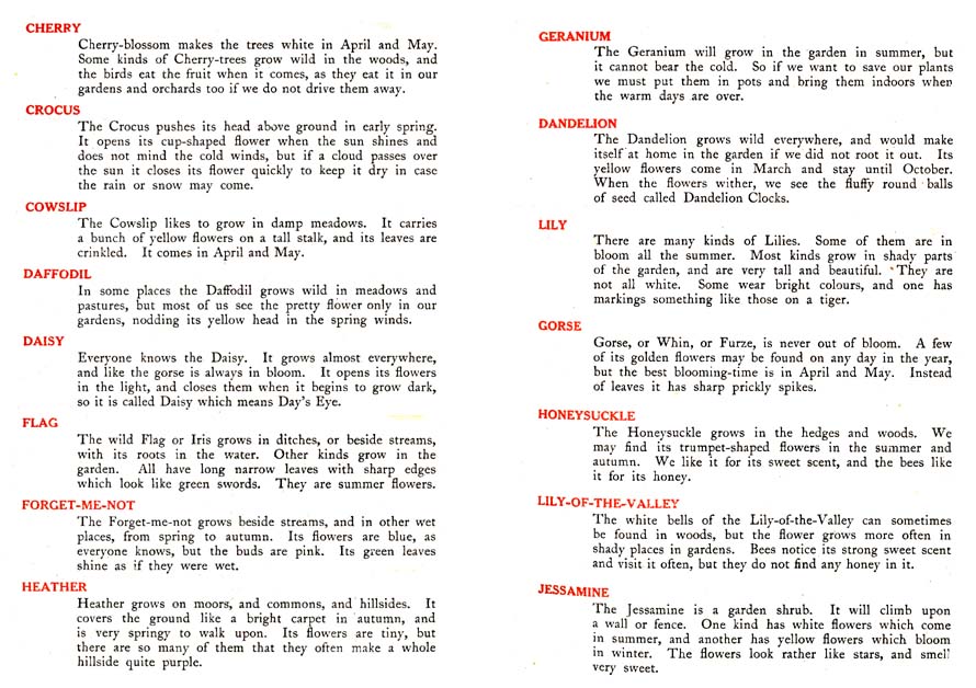 06_Babes_and_Blossoms