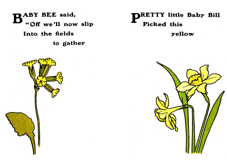 Cowslip---Daffodil