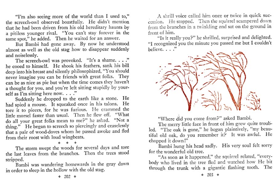 103_Bambi