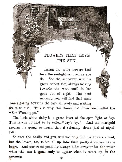 89_Beauty_Beast_and_Other_Stories