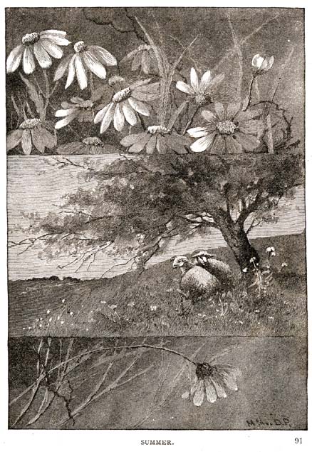 90_Beauty_Beast_and_Other_Stories