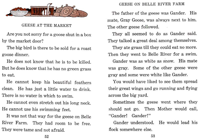 29_Wings_and_Feathers