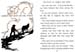 26_Wings_and_Feathers