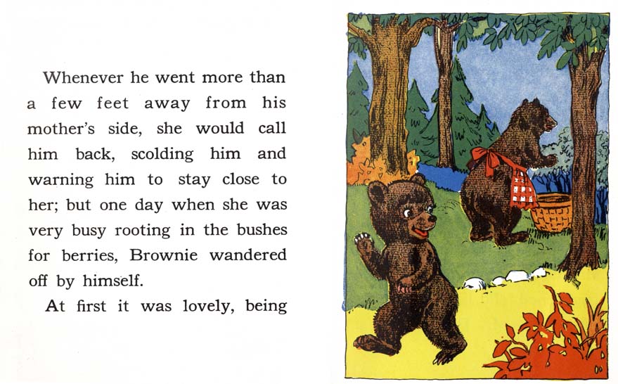 04_Brownie-Little-Bear