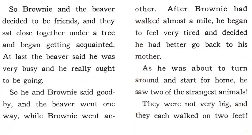 06_Brownie-Little-Bear