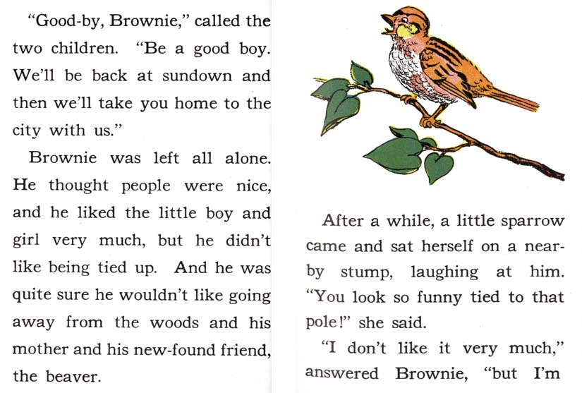 14_Brownie-Little-Bear