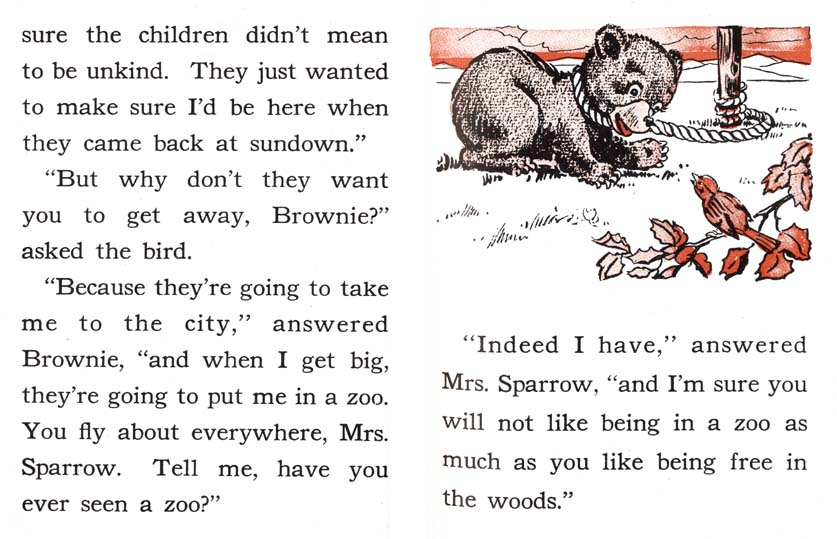 15_Brownie-Little-Bear