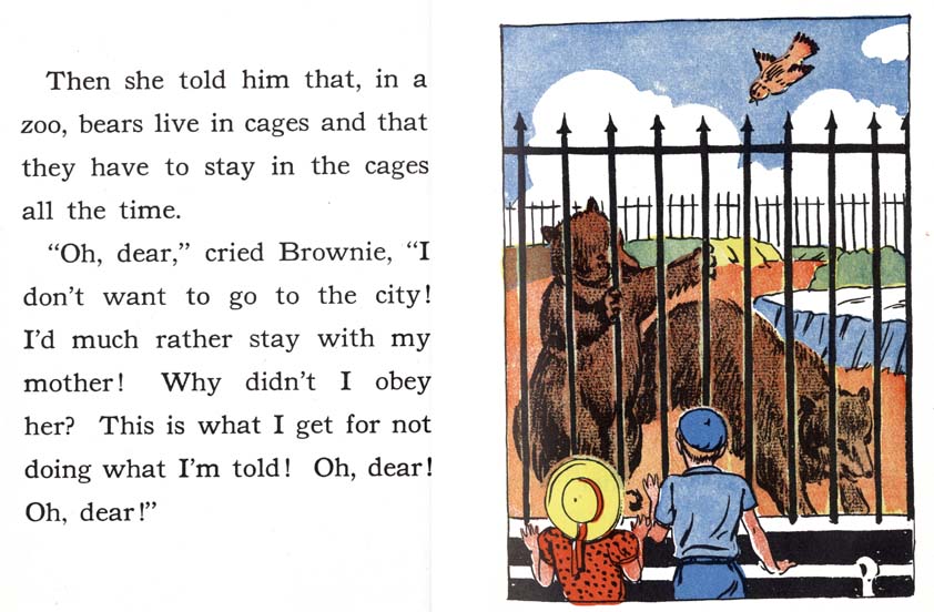 16_Brownie-Little-Bear