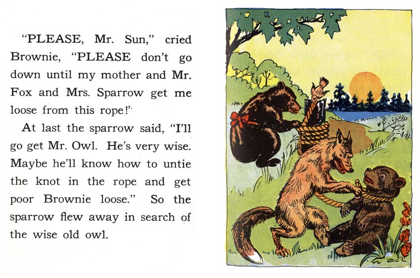 20_Brownie-Little-Bear