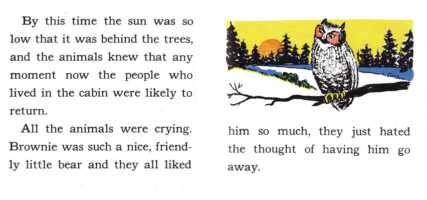 22_Brownie-Little-Bear