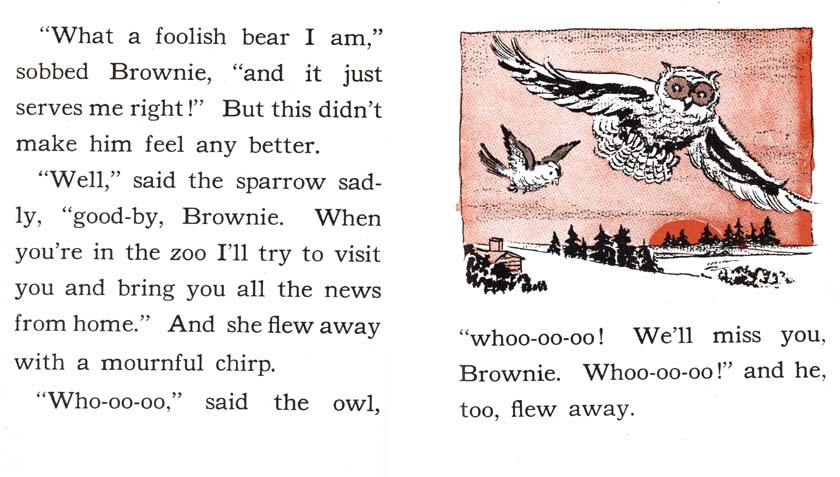 23_Brownie-Little-Bear