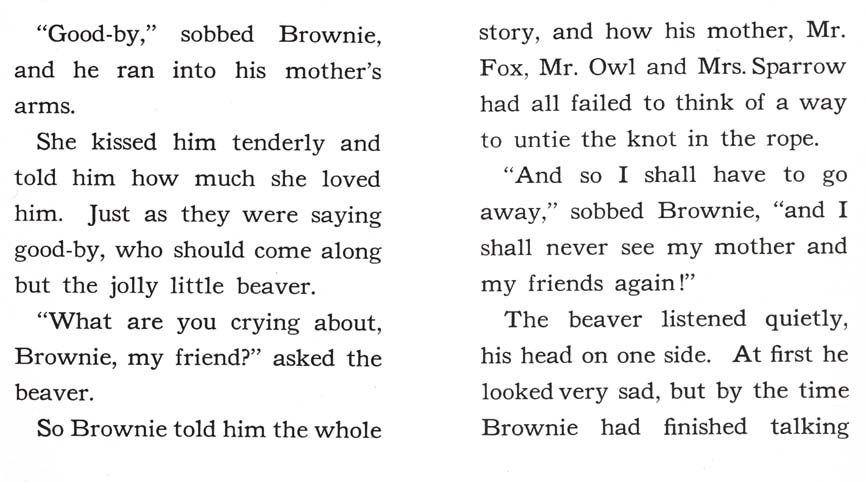 25_Brownie-Little-Bear