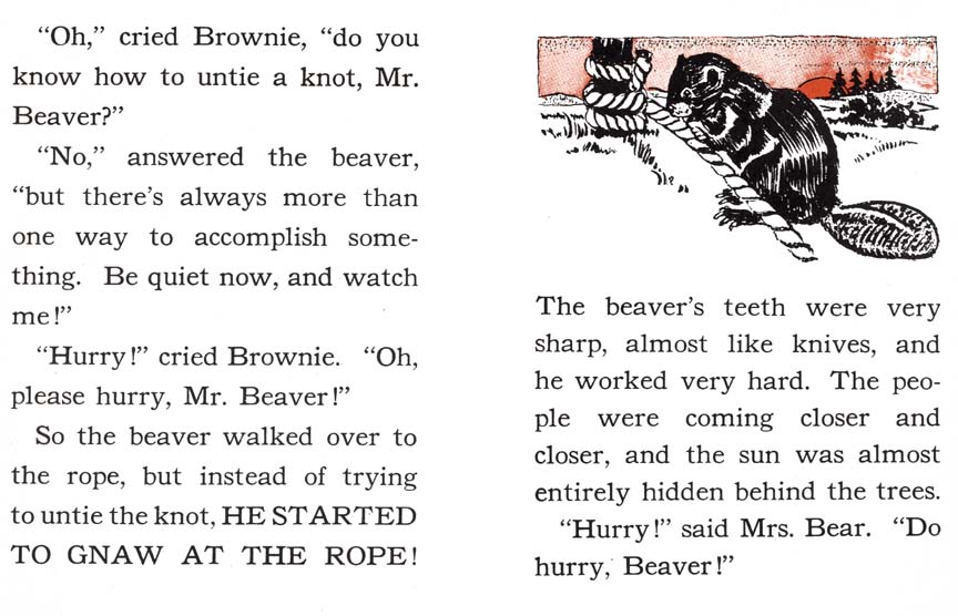 27_Brownie-Little-Bear