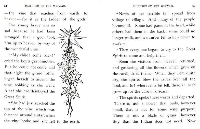 29_Children_of_the_Wigwam