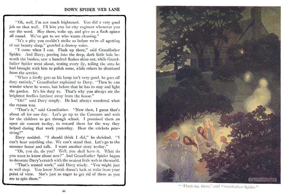 027_Down_Spider_Web_Lane