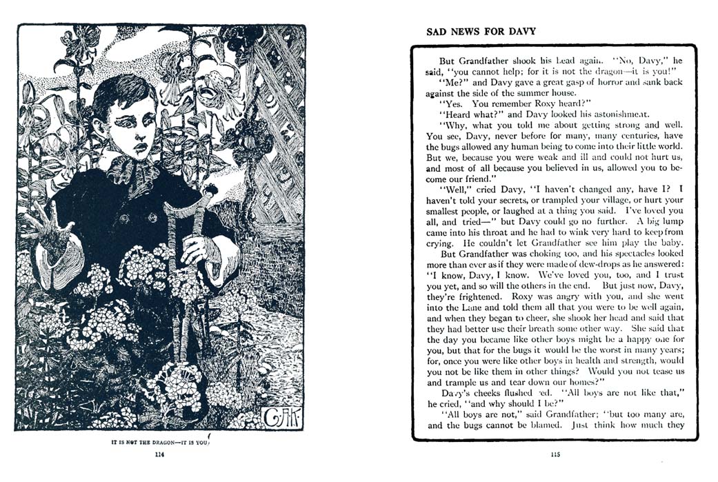 064_Down_Spider_Web_Lane