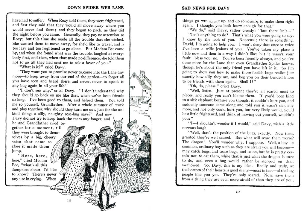 065_Down_Spider_Web_Lane