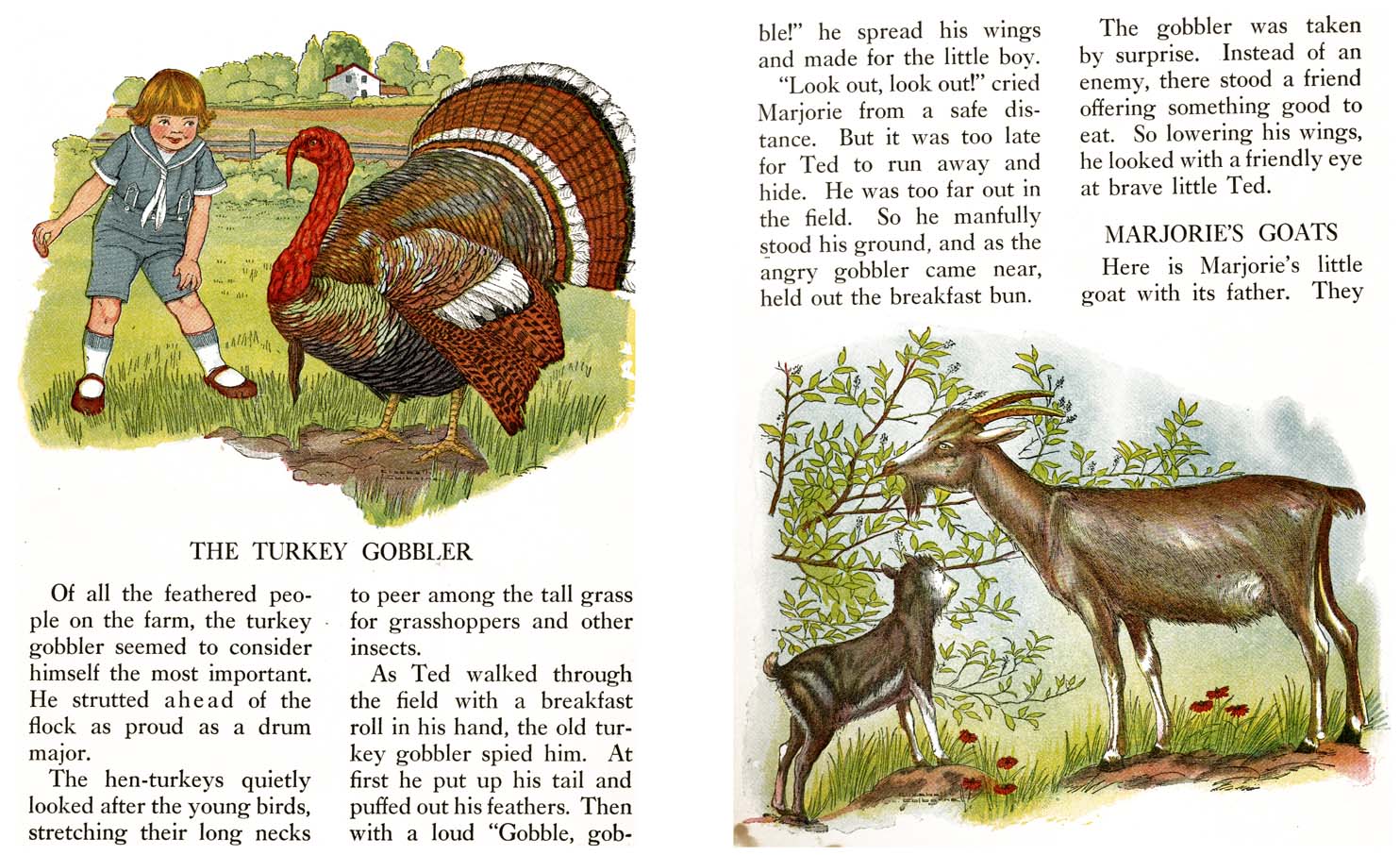 06_Farm_Friends_Story_Book