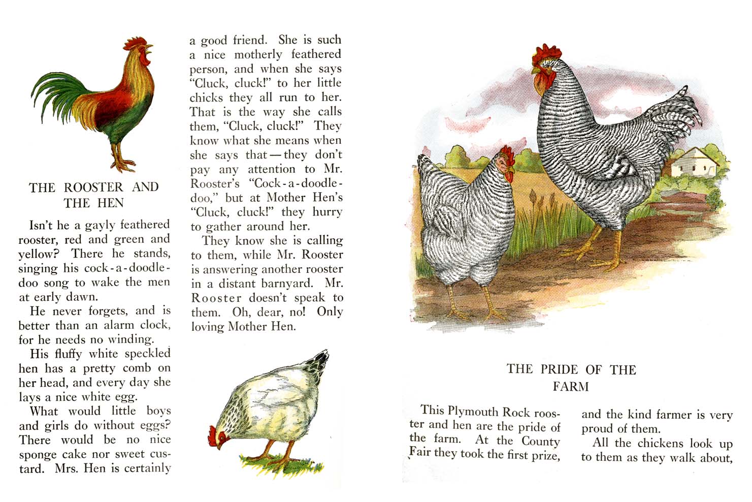 08_Farm_Friends_Story_Book