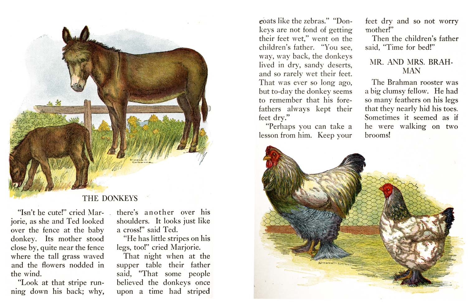 10_Farm_Friends_Story_Book