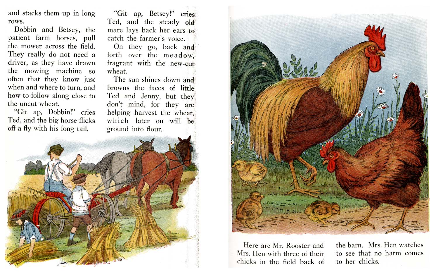 29_Farm_Friends_Story_Book