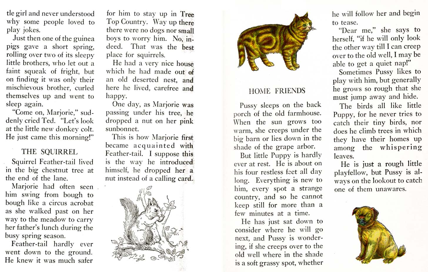33_Farm_Friends_Story_Book
