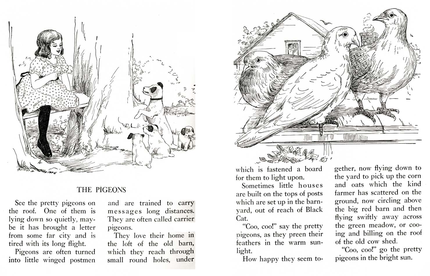 36_Farm_Friends_Story_Book