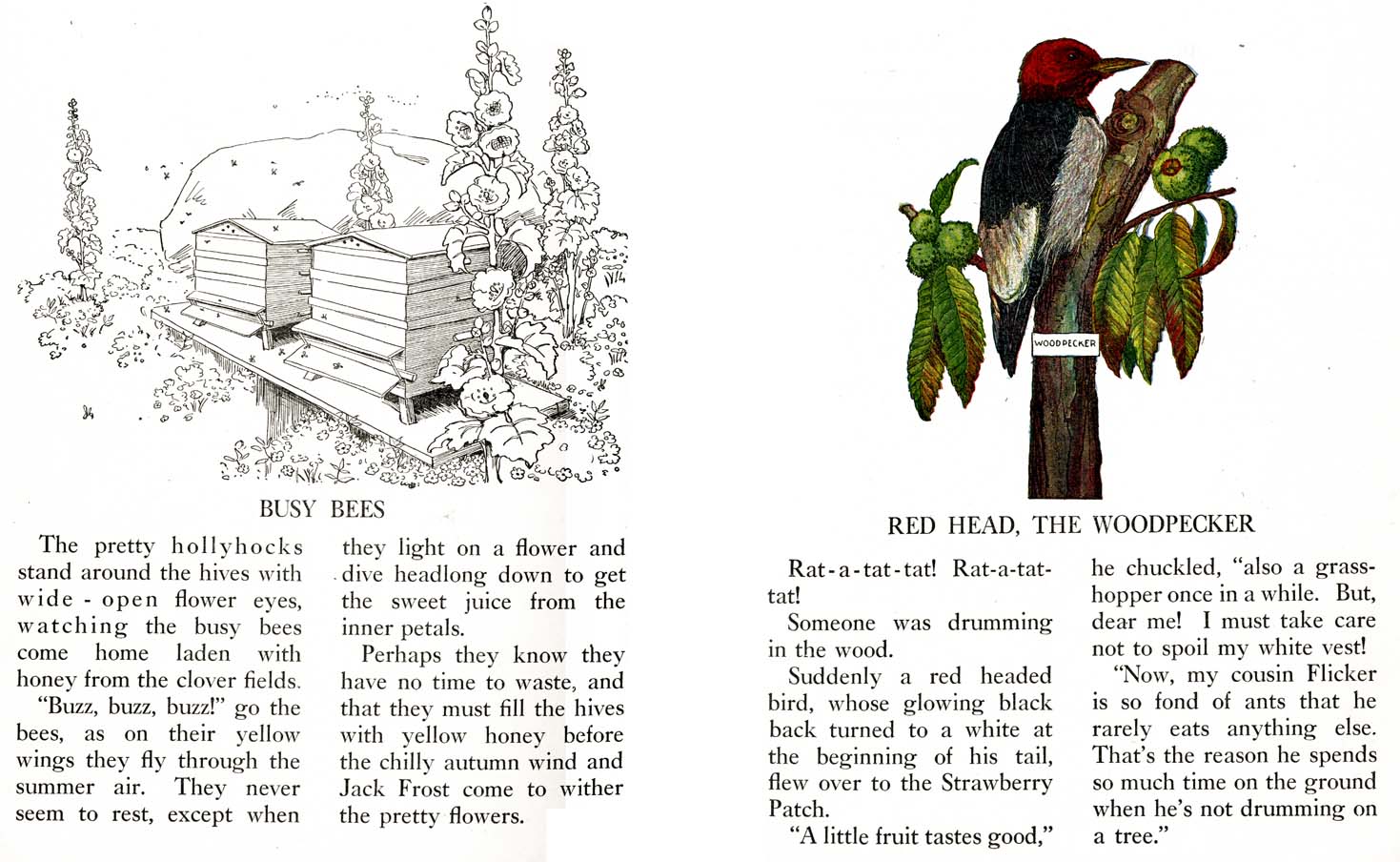 37_Farm_Friends_Story_Book