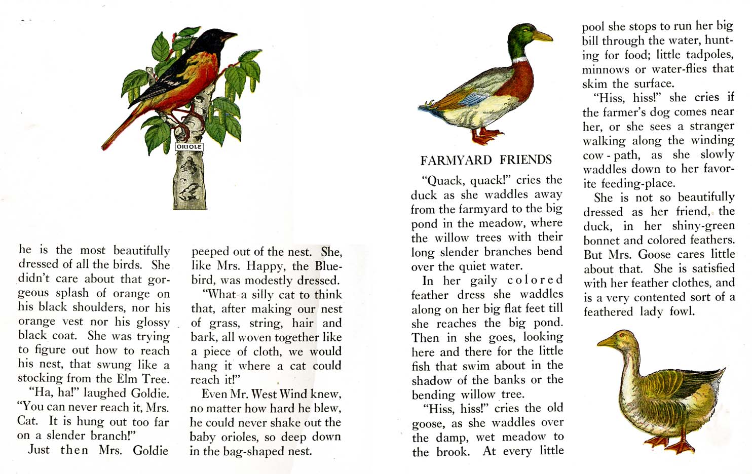 39_Farm_Friends_Story_Book