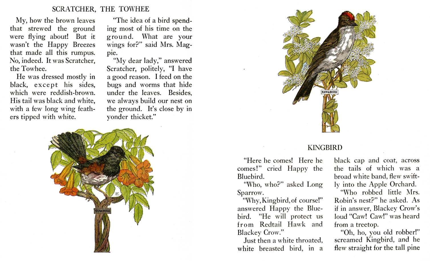 41_Farm_Friends_Story_Book