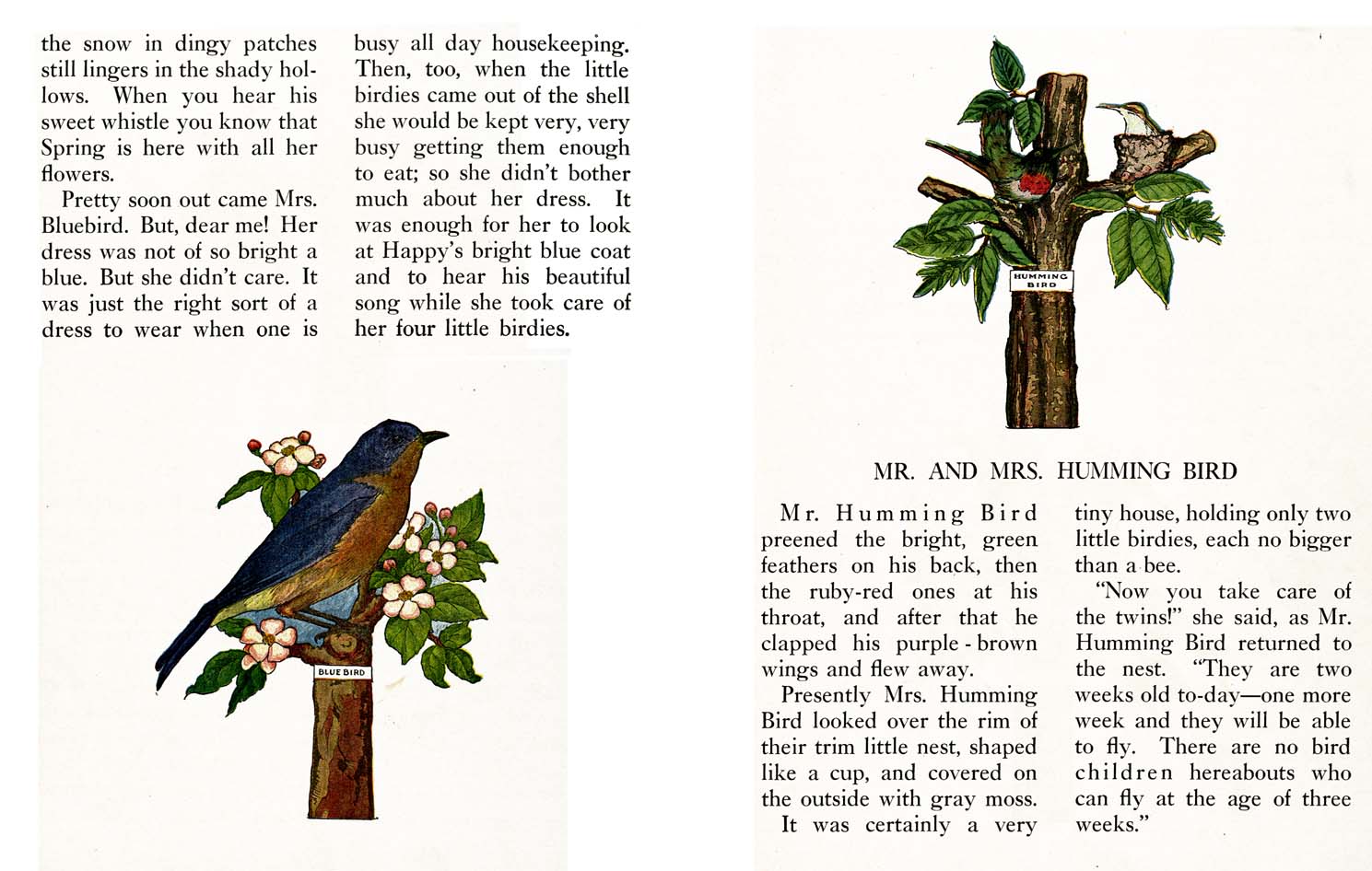 43_Farm_Friends_Story_Book