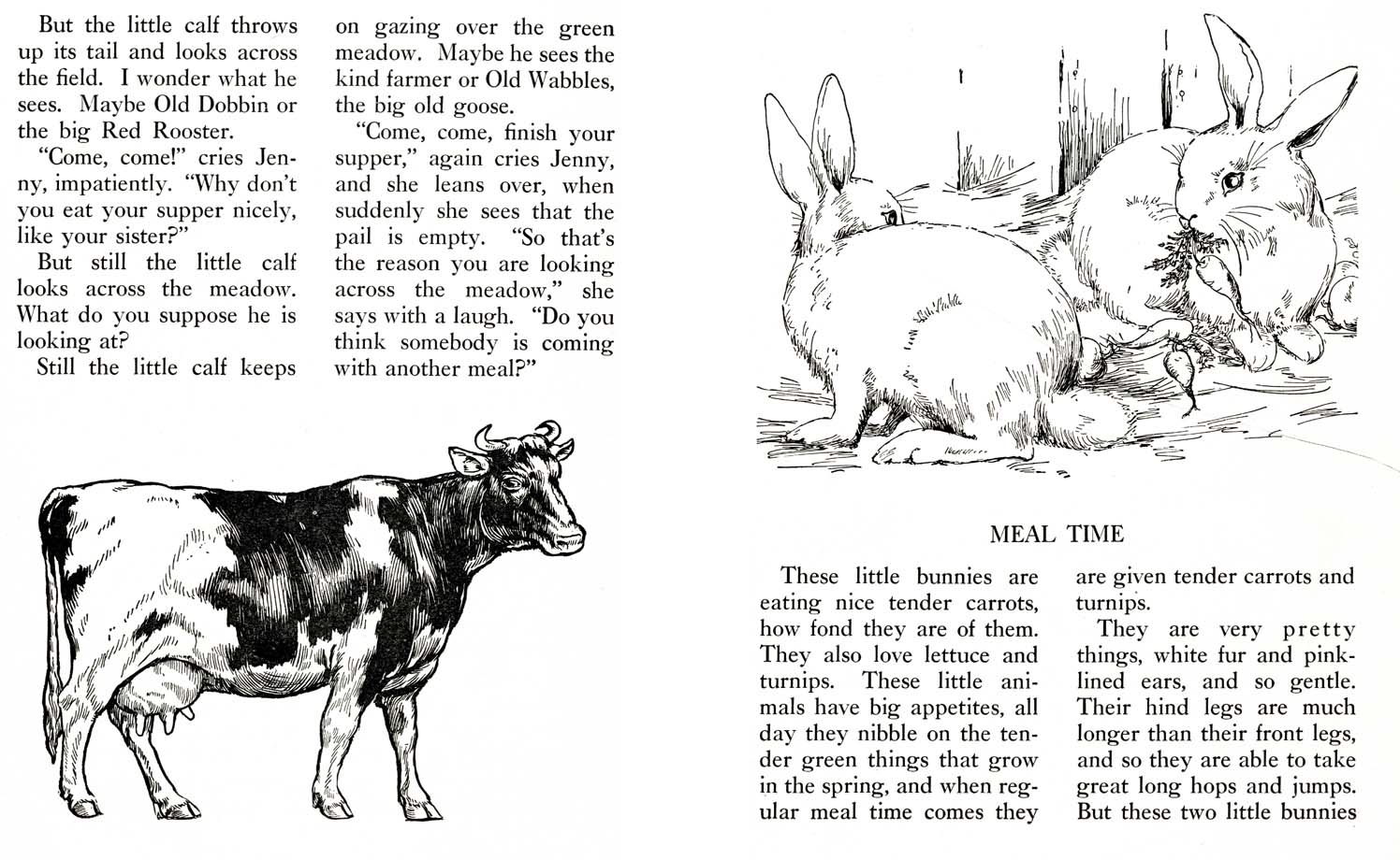 49_Farm_Friends_Story_Book