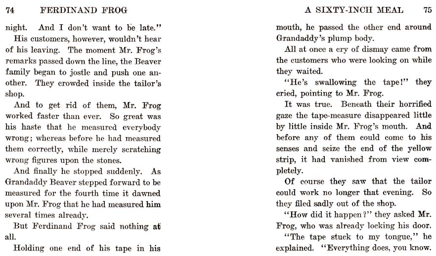 41_Ferdinand_Frog