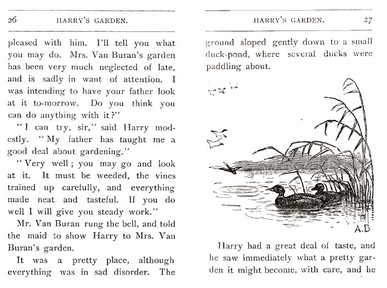 13_Harrys_Garden