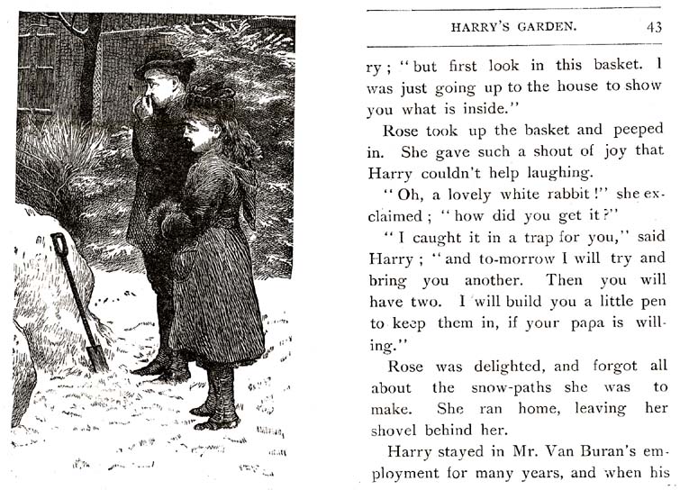 21_Harrys_Garden