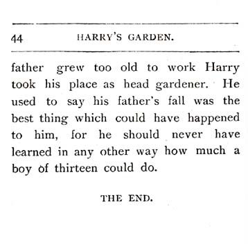 22_Harrys_Garden
