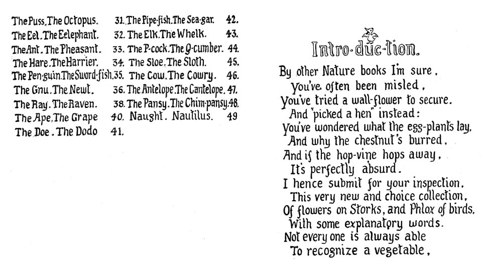 04_How_to_Tell_the_Birds_from_the_Flowers