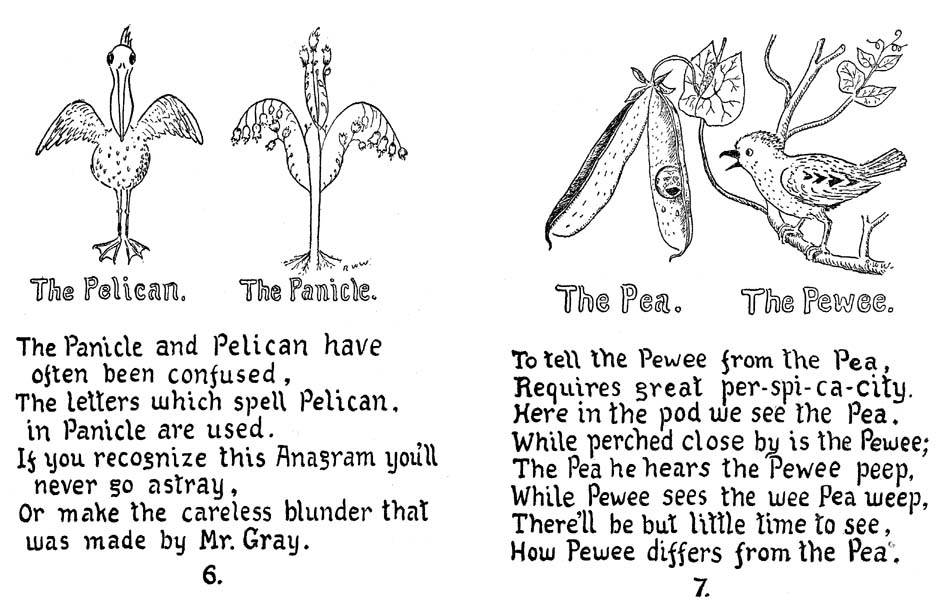 08_How_to_Tell_the_Birds_from_the_Flowers