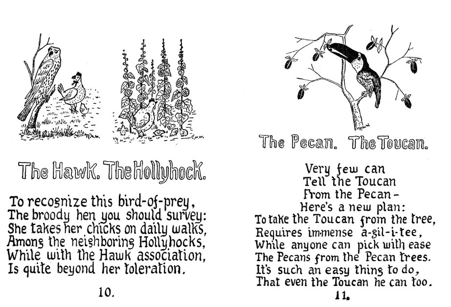 10_How_to_Tell_the_Birds_from_the_Flowers