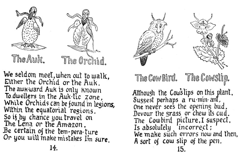 12_How_to_Tell_the_Birds_from_the_Flowers