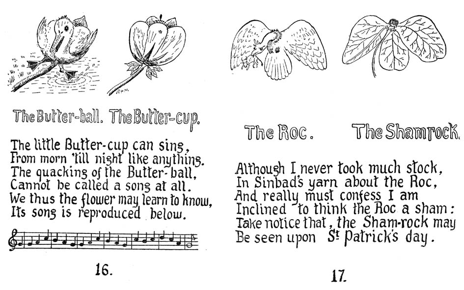 13_How_to_Tell_the_Birds_from_the_Flowers