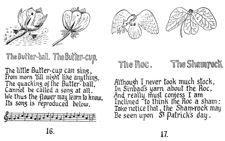 13_How_to_Tell_the_Birds_from_the_Flowers