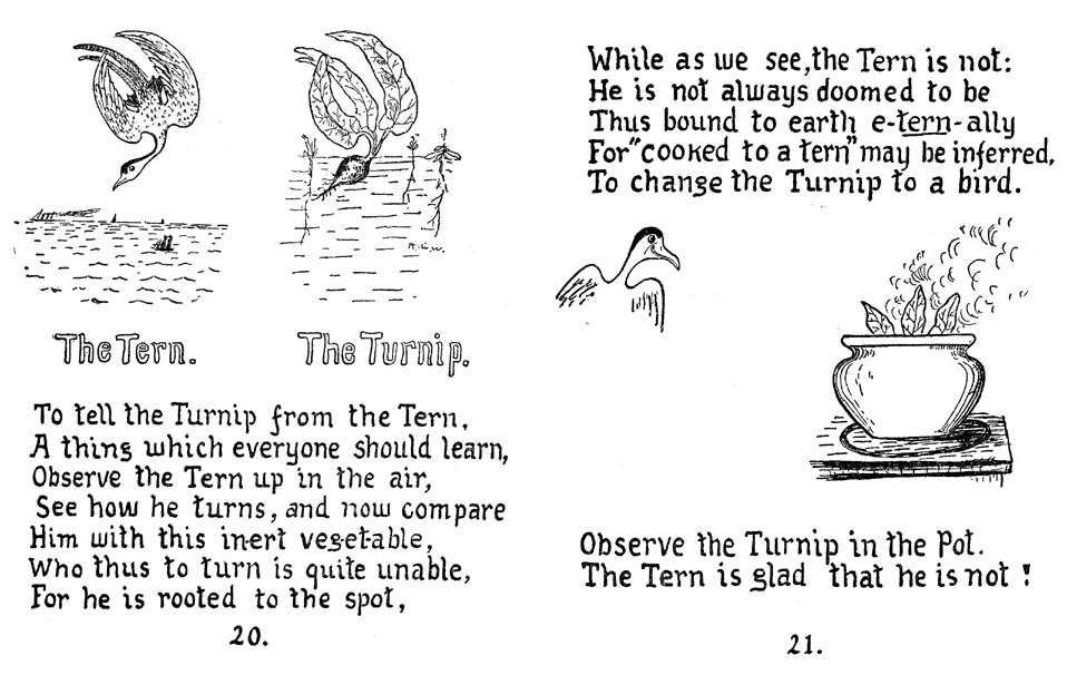15_How_to_Tell_the_Birds_from_the_Flowers