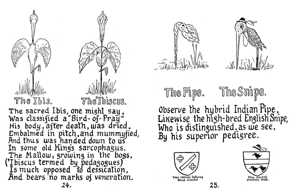 17_How_to_Tell_the_Birds_from_the_Flowers