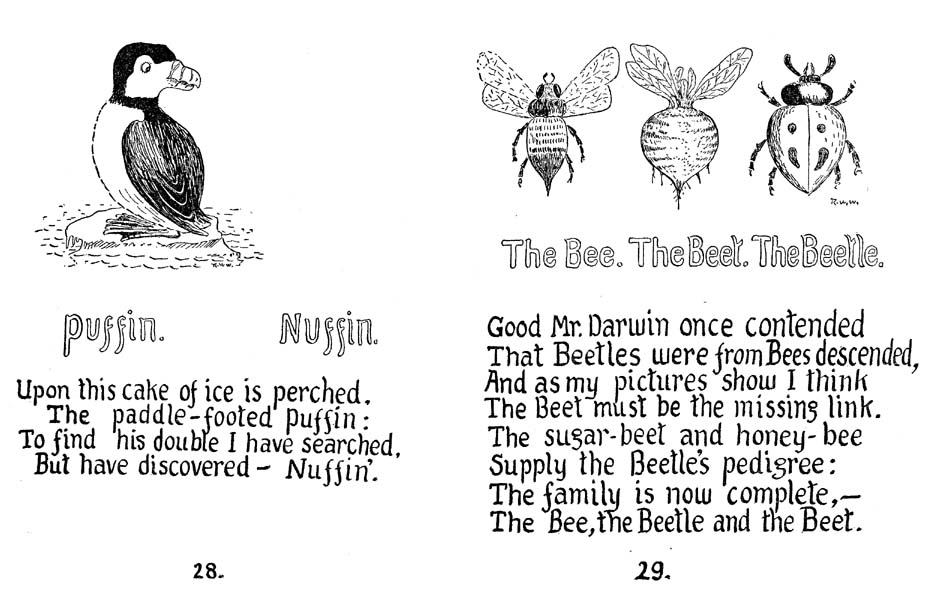 19_How_to_Tell_the_Birds_from_the_Flowers