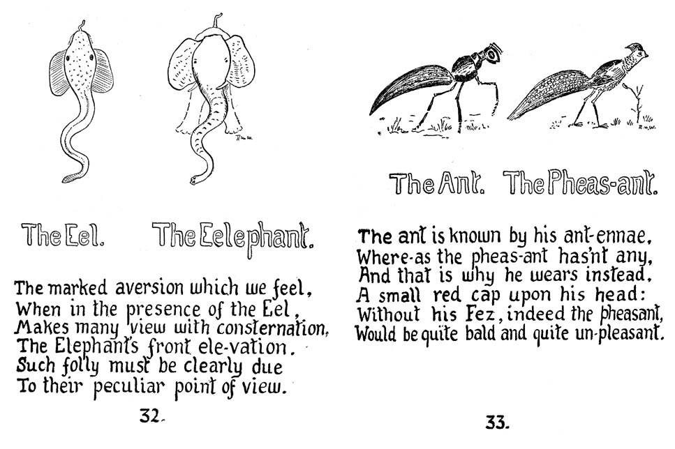 21_How_to_Tell_the_Birds_from_the_Flowers