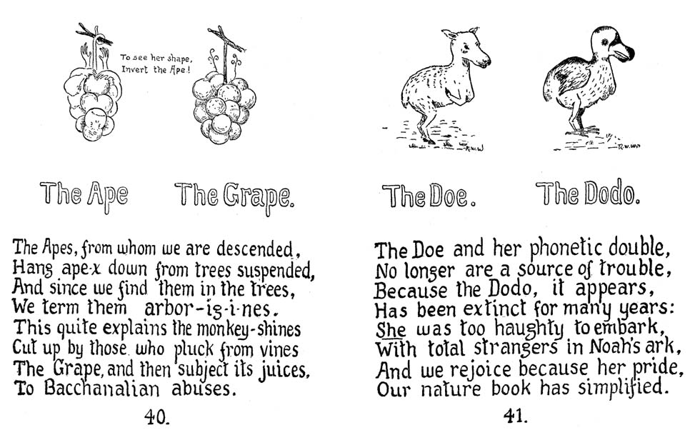 25_How_to_Tell_the_Birds_from_the_Flowers