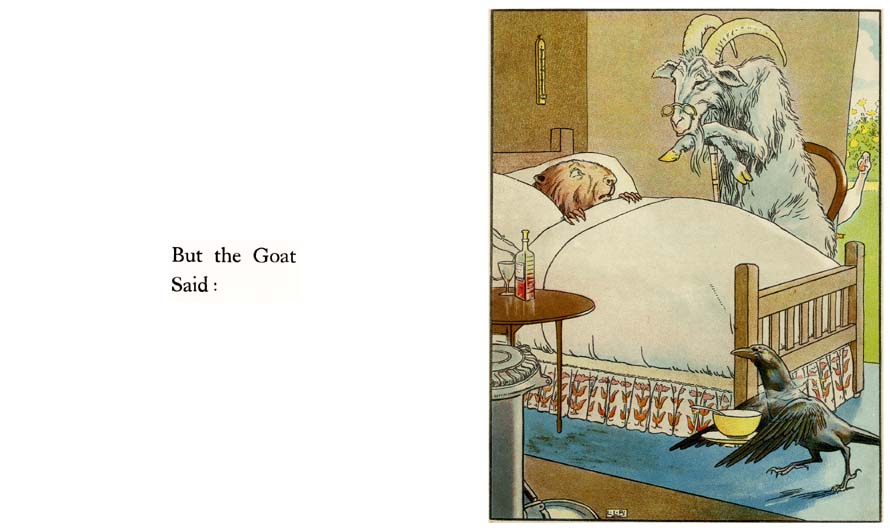 17_Johnny_Crows_Garden